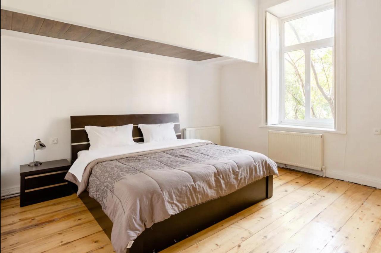 Lovely Dulcet Loft In Center Of Rustaveli Τυφλίδα Εξωτερικό φωτογραφία